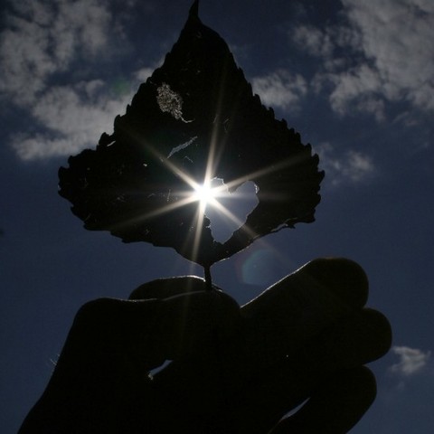 Die Sonne erhellt mein Herz