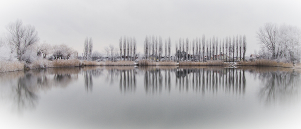 Des Winters Gleichheit
