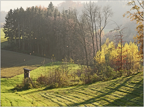 später Herbstnachmittag