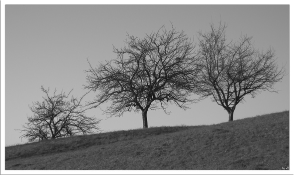 drei einsame ....