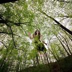 Waldfee - Flug durch den Wald 3