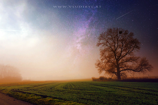 Waiting for the starnights