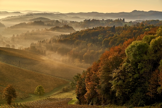 Herbst