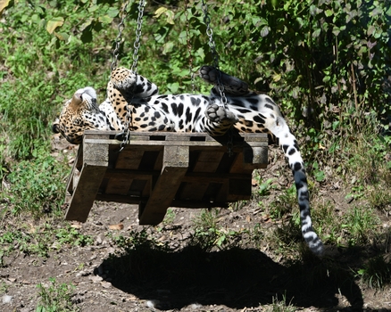 Relaxen ...