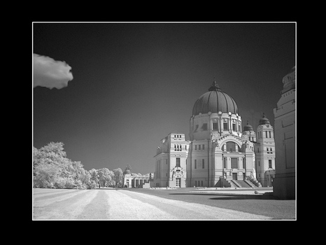 Zentralfriedhof-1