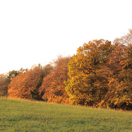 wieso herbst