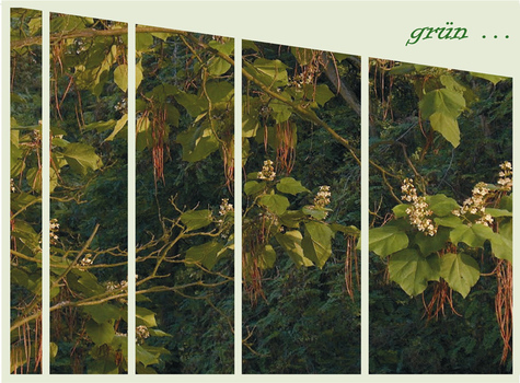 Allerlei Grün
