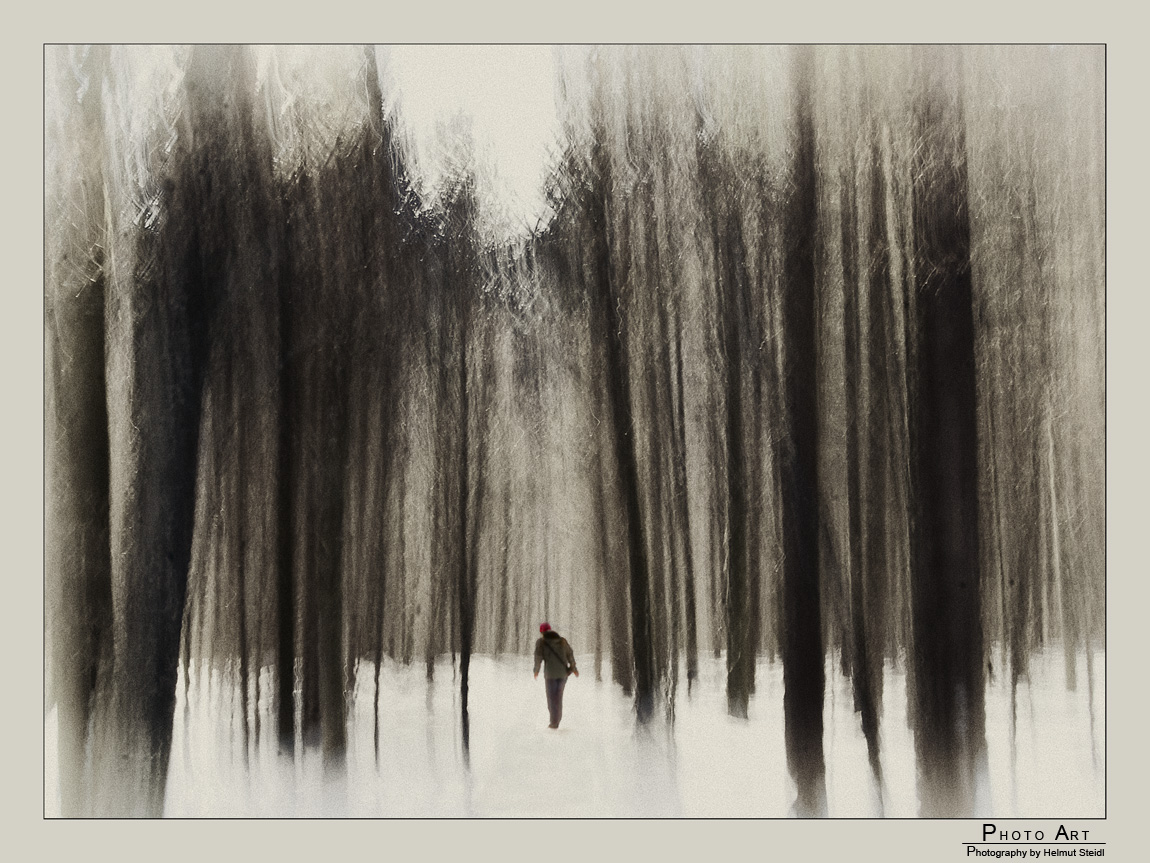 Alone in the deep Winterforest