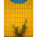 Urbane Vegetation
