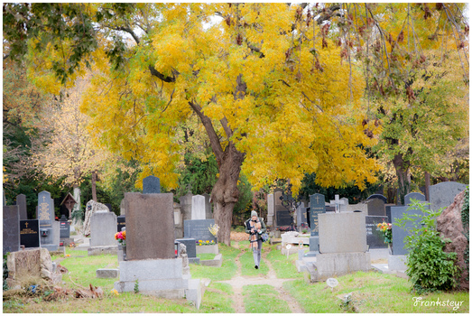 Wiener Zentralfriedhof