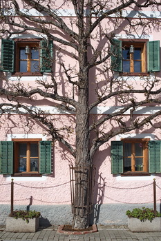 Hallstatt 6