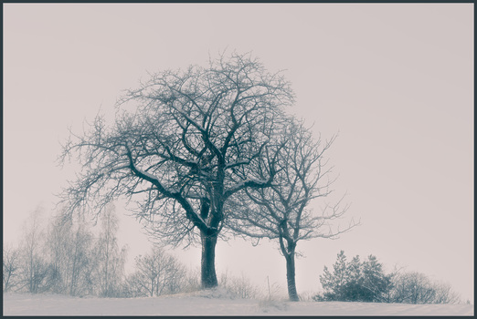 Nebel