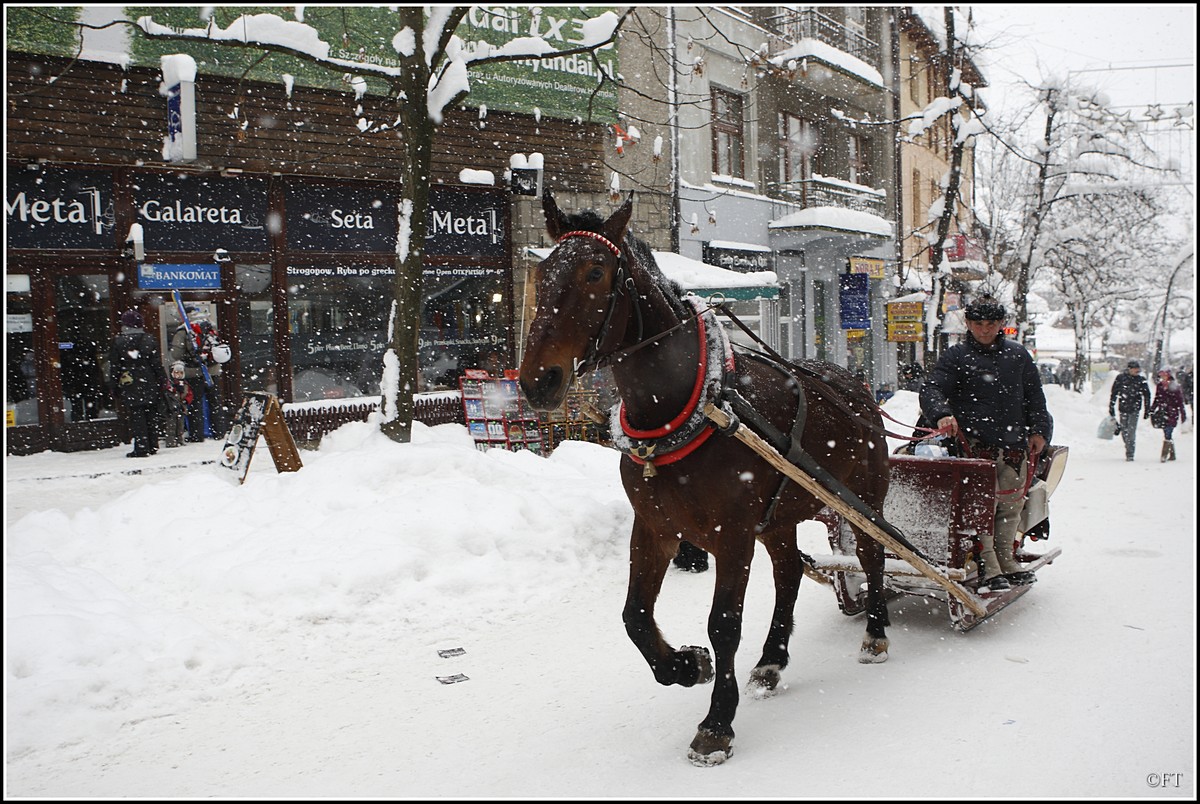 Fuzo Zakopane