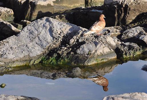 On the rocks