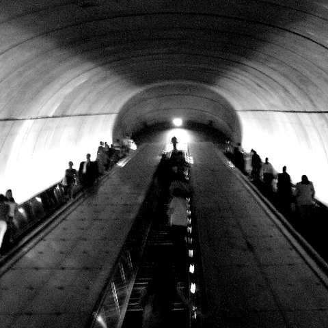 Into the light