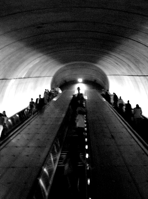 Into the light