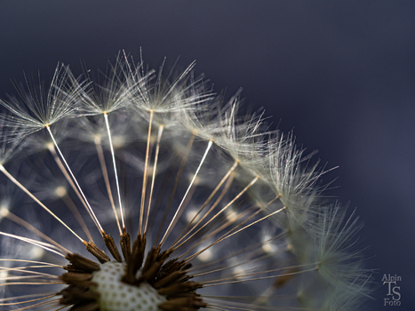 Fragile Natur