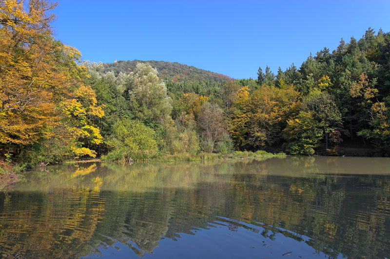 Sparbach