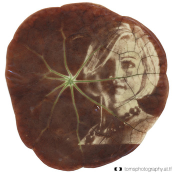 Experiment Laubblatt #4