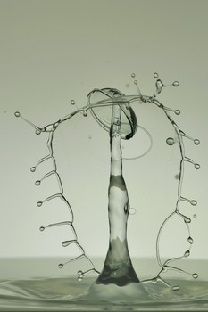 Tropfen