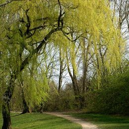 Der Weg ins Grüne