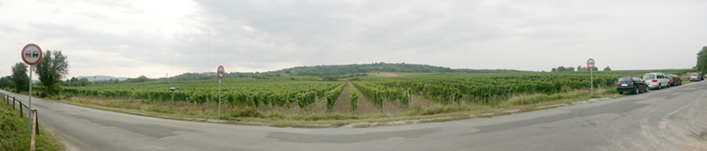 Weinberg-Pano
