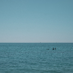 Mare