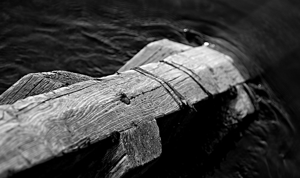 Leben & Wasser
