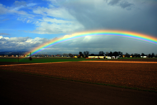 regenbogen ...