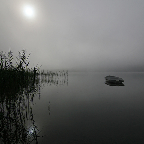 Morgenstimmung III