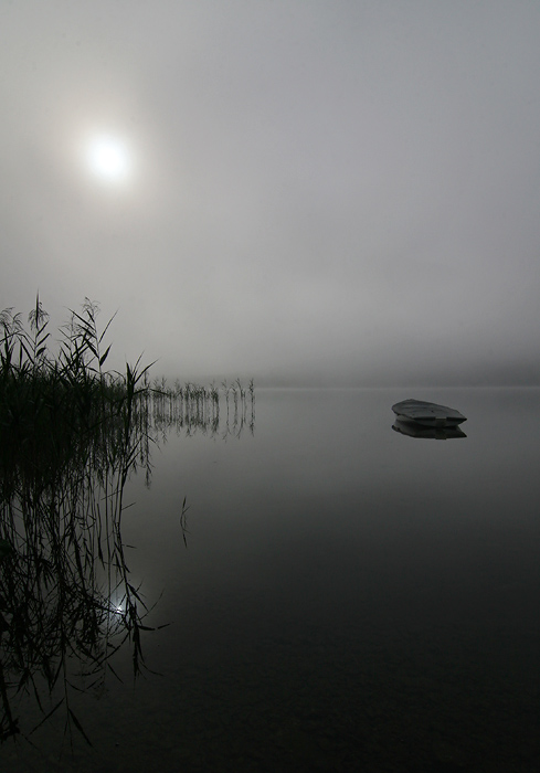 Morgenstimmung III