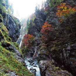 LIECHTENSTEINKLAMM