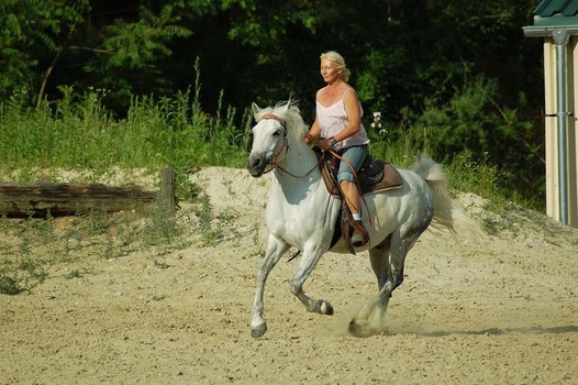wildwildWest