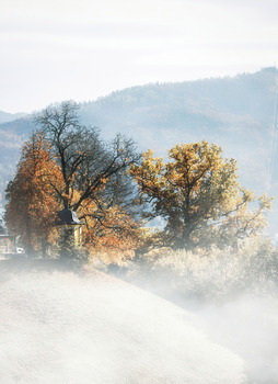 FOG