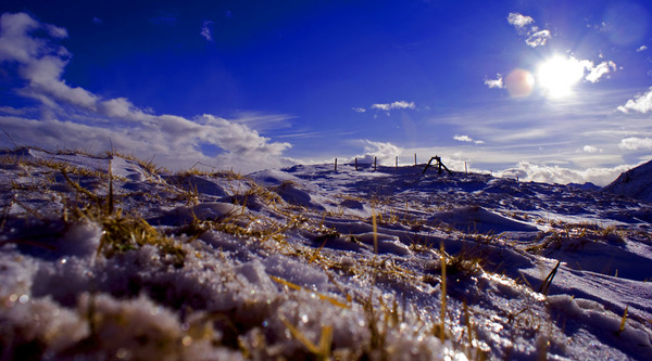 vinterlandskape