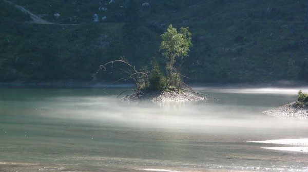 Morgennebel