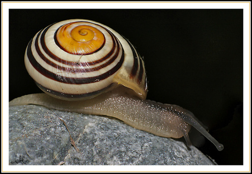 Abwärts