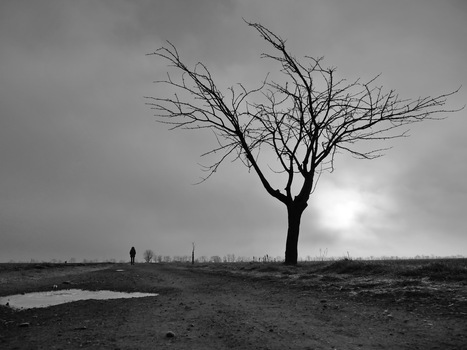 Morgenspaziergang
