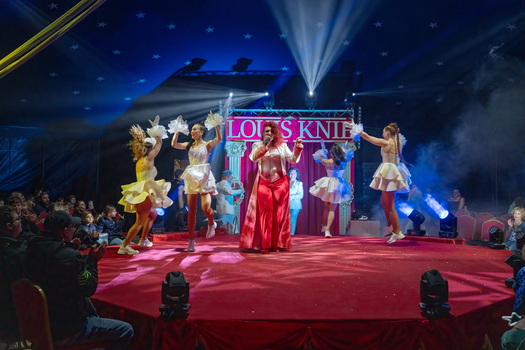 Serie im Zirkus 3