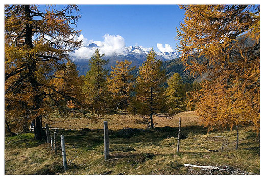 herbst in den bergen