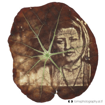 Experiment Laubblatt #3