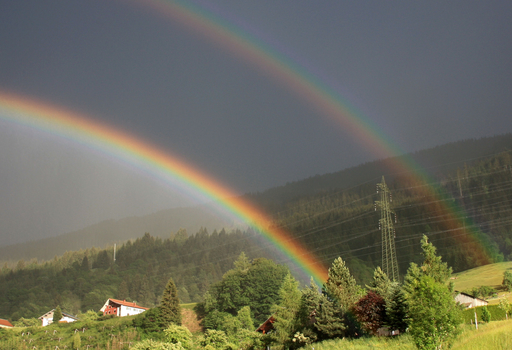 Regenbogen_Schnappschuss