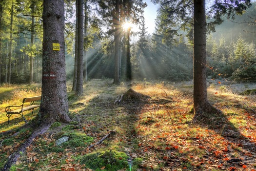 Spätherbst in Bad Traunstein