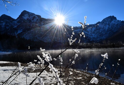 Almsee