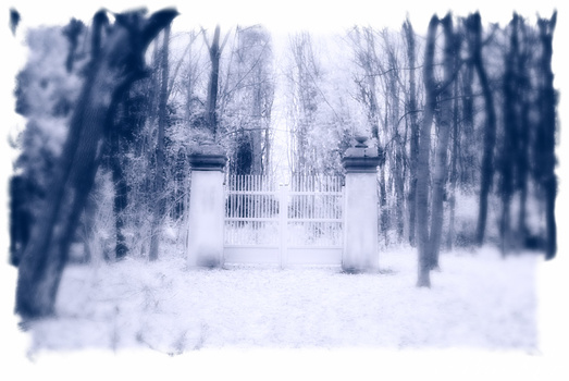 the open door