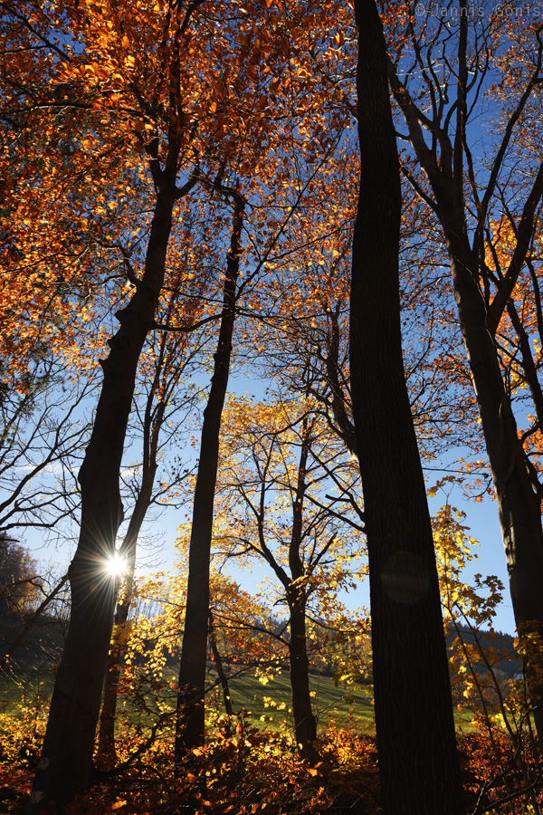 November