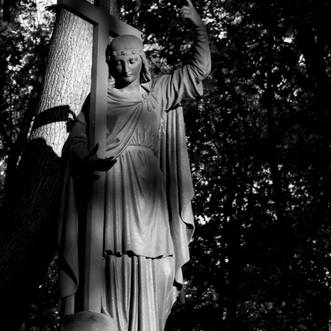 es lebe der zentralfriedhof7