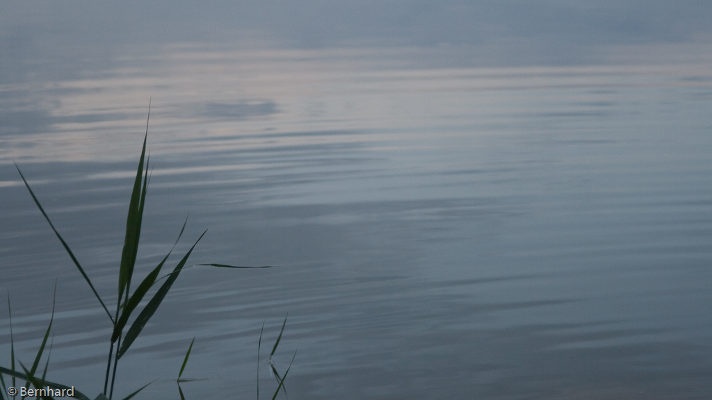 am Wasser