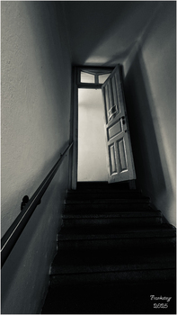 Gang ins Licht