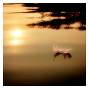 You float like a feather...